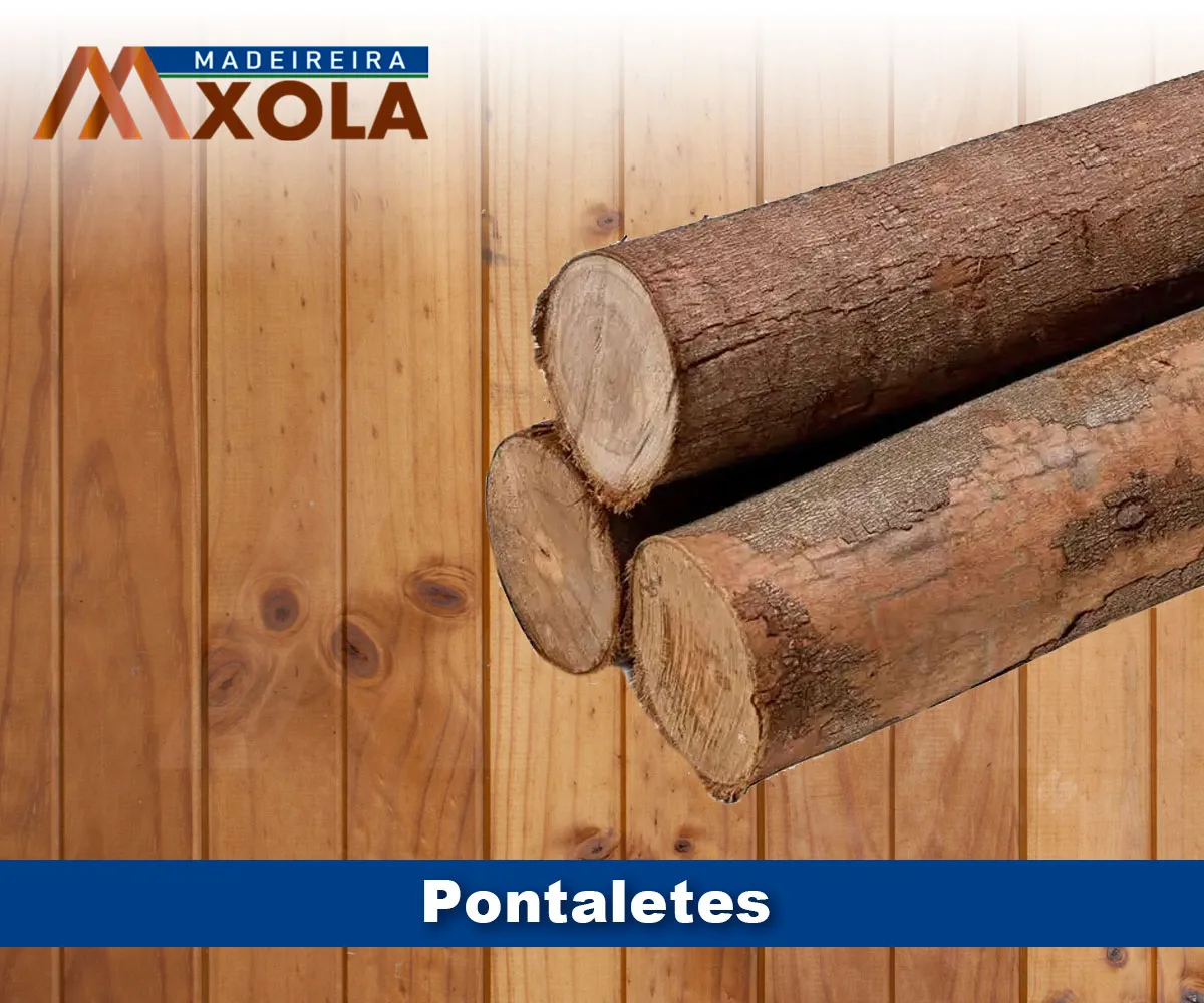 Pontaletes